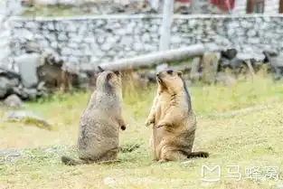 初秋心动之最美川西