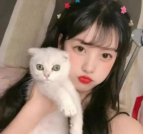 猫咪头像男生代表什么闺