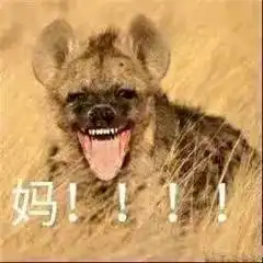 不扶墙就服你,地表最强孕妇的ella挺9月大肚竟干出这种事
