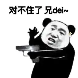 对不住了兄dei