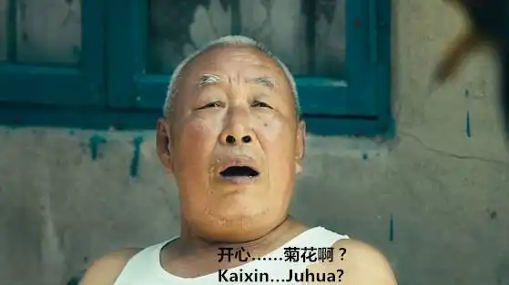 开心开心什么菊花