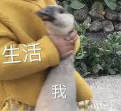 预防脑部退化让这场卡牌的风暴转起来