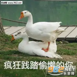 向知识的苦海前进表情包大白鹅学习表情包下载乐游网游戏下载
