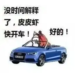 皮皮虾到底是个什么梗