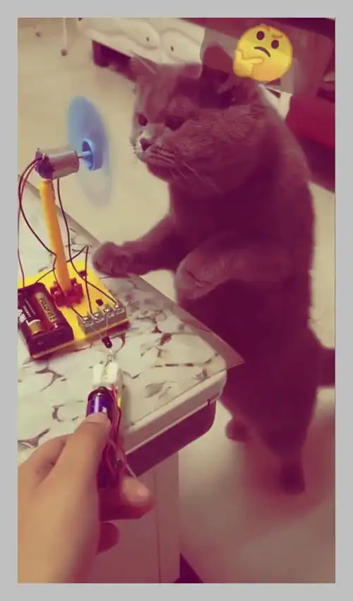 看来好奇害死猫,这句话不无道理啊,这货真的是什么都敢尝试下