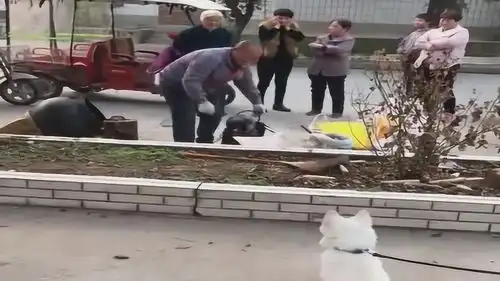 好奇害死猫,叫你走你不走,怪谁