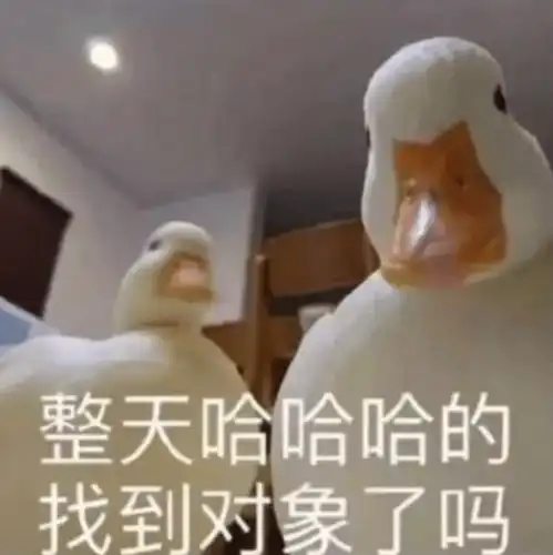 聊天必备表情包i发生了一件很尴尬的事