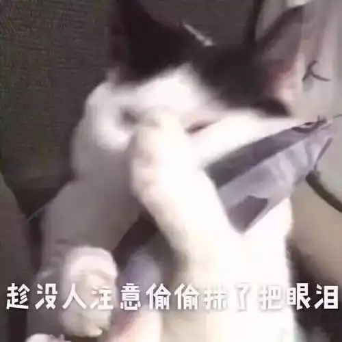 女方妈妈给未来女婿的一封信,看哭了无数准新娘