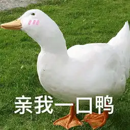 除了砸红包宠你,王子还请来了加油鹅为你加油