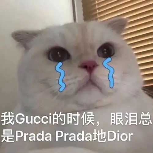 表情包凡事想想自己配不配