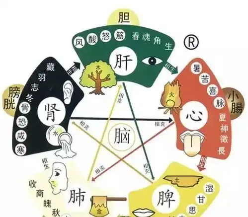 脾虚,肾虚,浑身无气力别愁这8大补气药,能帮你把气通通补回来党参
