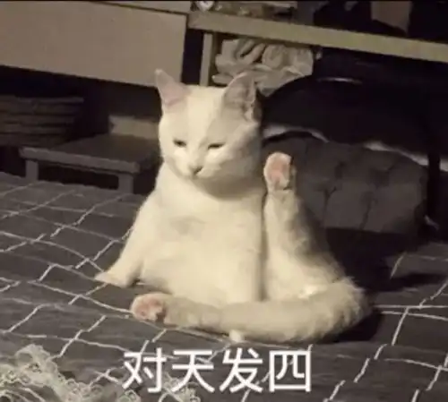 第一次跟男友住酒店,结果...我太难了