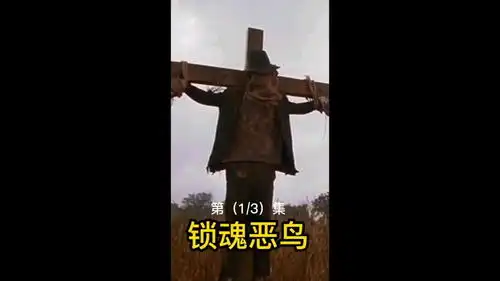 好奇害死猫,遇到怪异事情不要单独行动