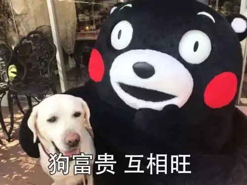送您30元带着孩子一起观看儿童剧绿野仙踪