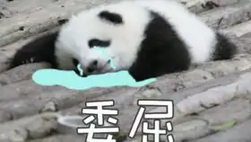 你妈带你出去串门你俩差不多大快聊聊这两孩子聊的真开心