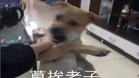 杀了三个好人放跑了一个,我输了也许没输影帝翻车局deceit哔哩哔哩bilibili