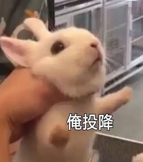 有个腿精女友是什么体验