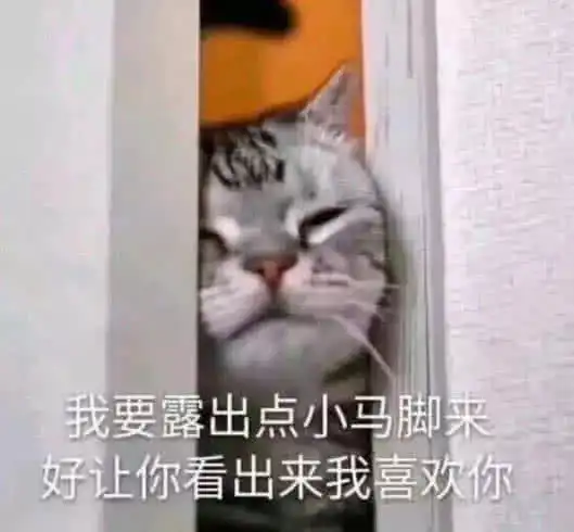 表情包可爱的女孩子顶顶
