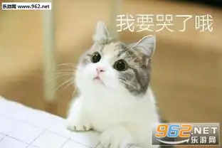 我要吃肉肉软萌图片表情给钱我要吃肉肉猫咪表情包下载乐游网游戏下载