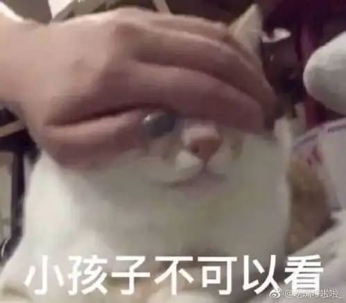 想起刚和男朋友在一起的时候他有次提起前女友