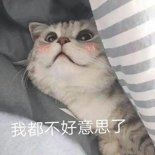 求推荐对微胖女孩比较友好的店铺