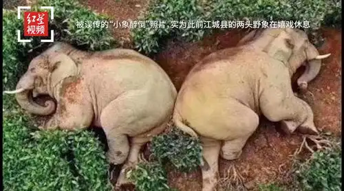 滚动