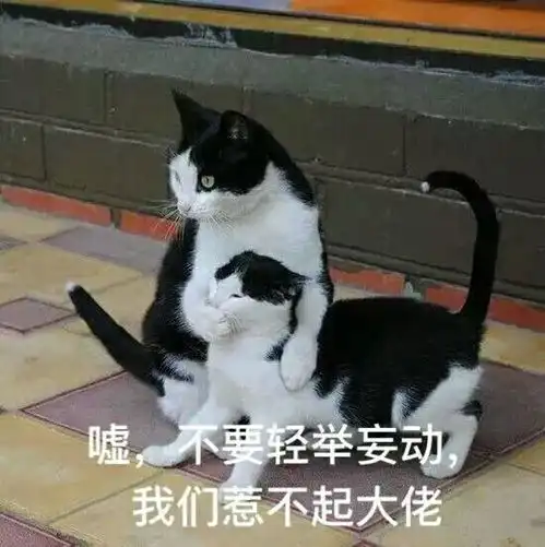 猫咪偷偷抹把泪表情包沙