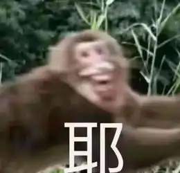 微信群莫名其妙消失