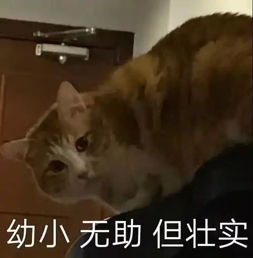 致00后,大学专业怎么选,看完你就知道了