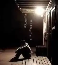 搜狐文化搜狐网