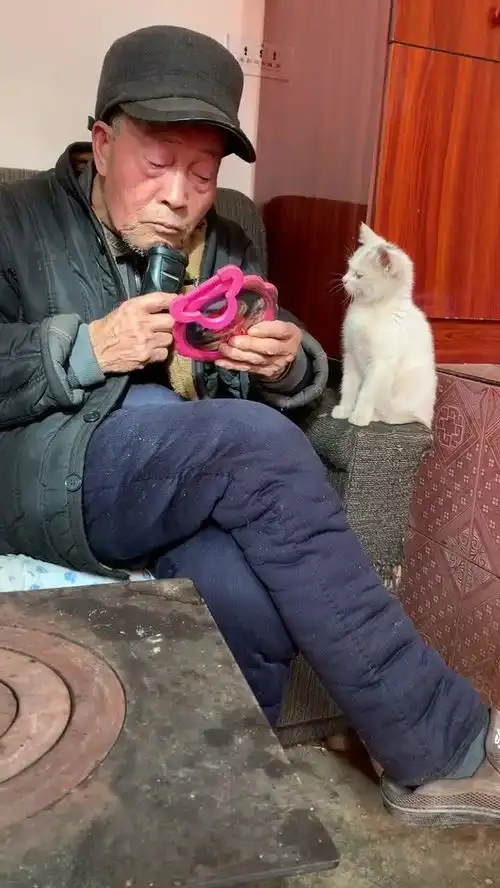 好奇害死猫表情包gif老