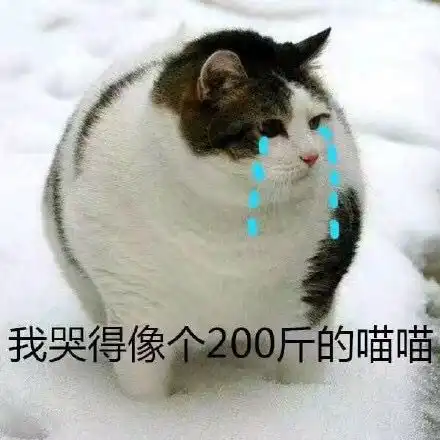 猫咪偷偷抹把泪表情包表